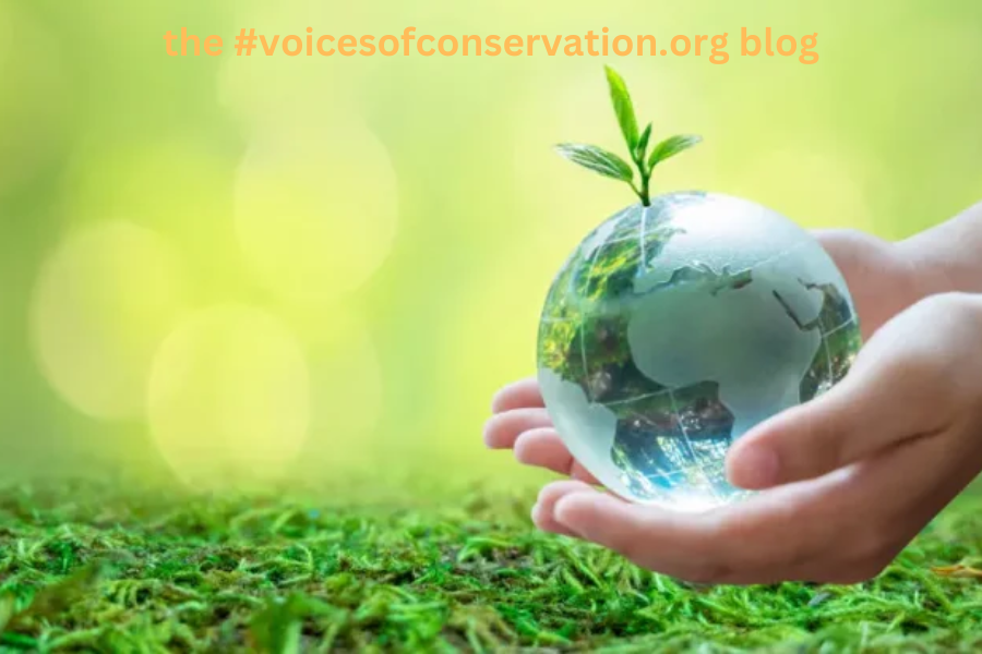 the #voicesofconservation.org blog