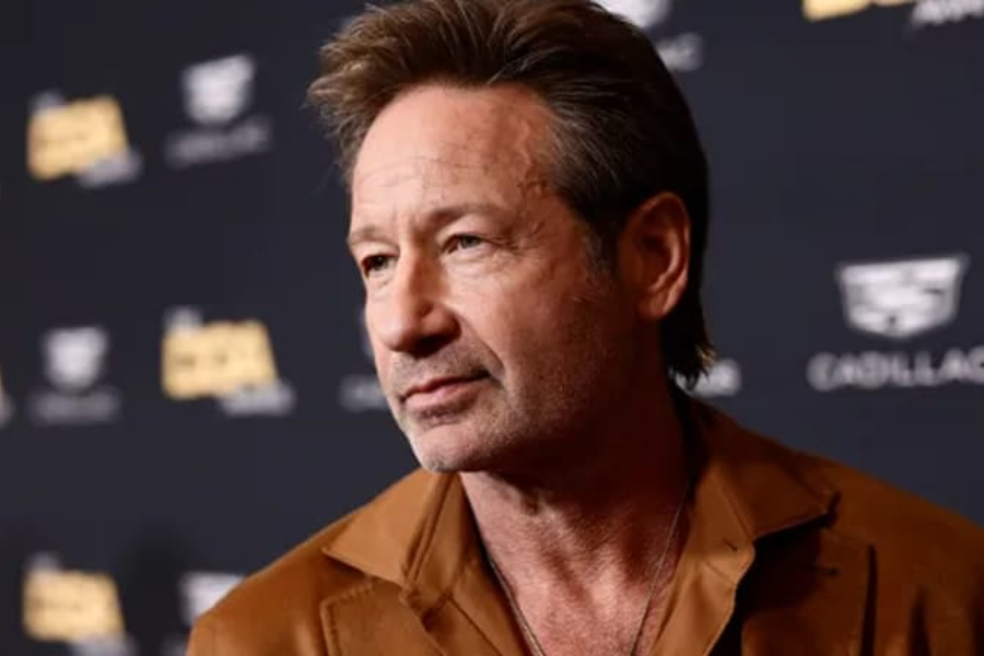 david duchovny net worth